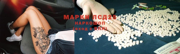 гашик Алексеевка