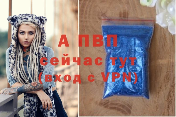 гашик Алексеевка