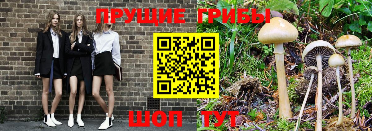 Псилоцибиновые грибы прущие грибы  Псилоцибиновые грибы мицелий  Карасук  Вход с VPN 